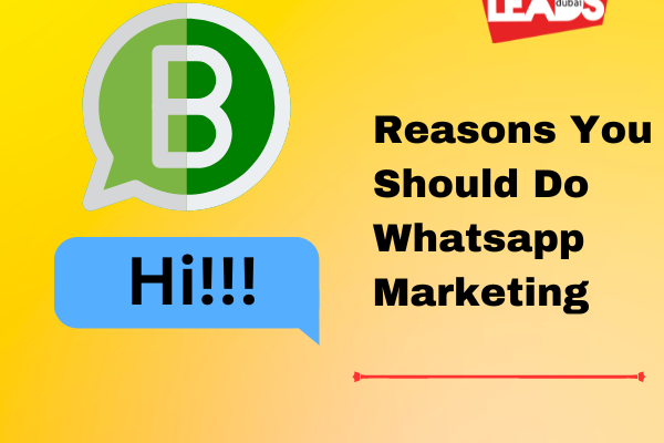WhatsApp Marketing: The Present of Digital Advertising