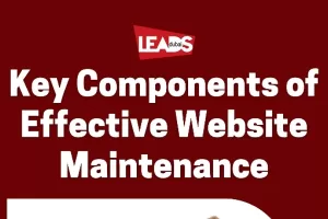 Effective Website Maintenance 